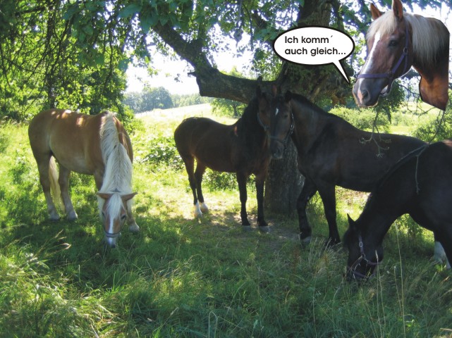 Wir lassen�s und gutgehen!
